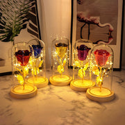 Cadeau de Saint-Valentin pour petite amie, fleurs de roses éternelles avec lumière LED dans un couvercle en verre, décoration de mariage, fête des mères, cadeau pour femme